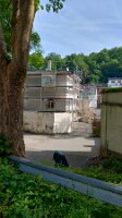 IMG_20260524_095236625_HDR